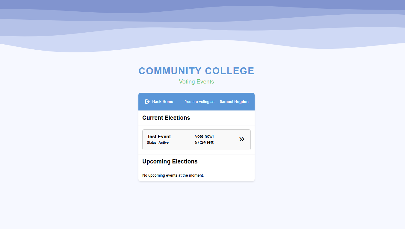 Voting Interface